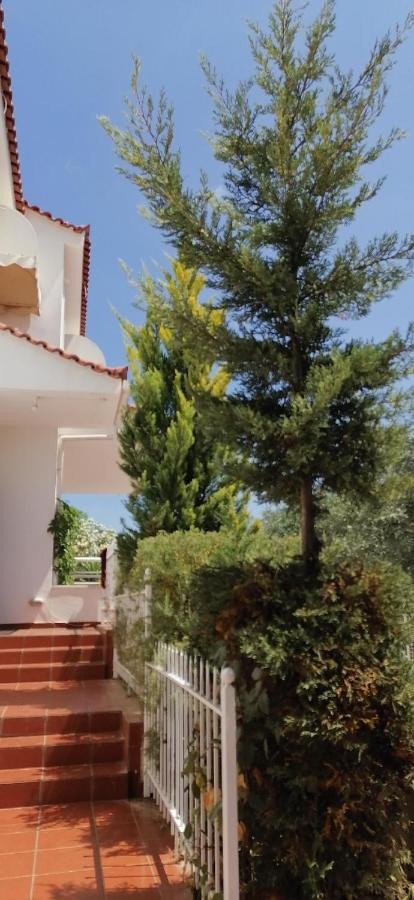 Ευχάριστη Βίλα Στη Χαλκίδα Στην Περιοχή "Αλυκές" Extérieur photo